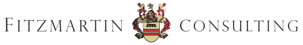 DSC's Competitor - Fitzmartin logo